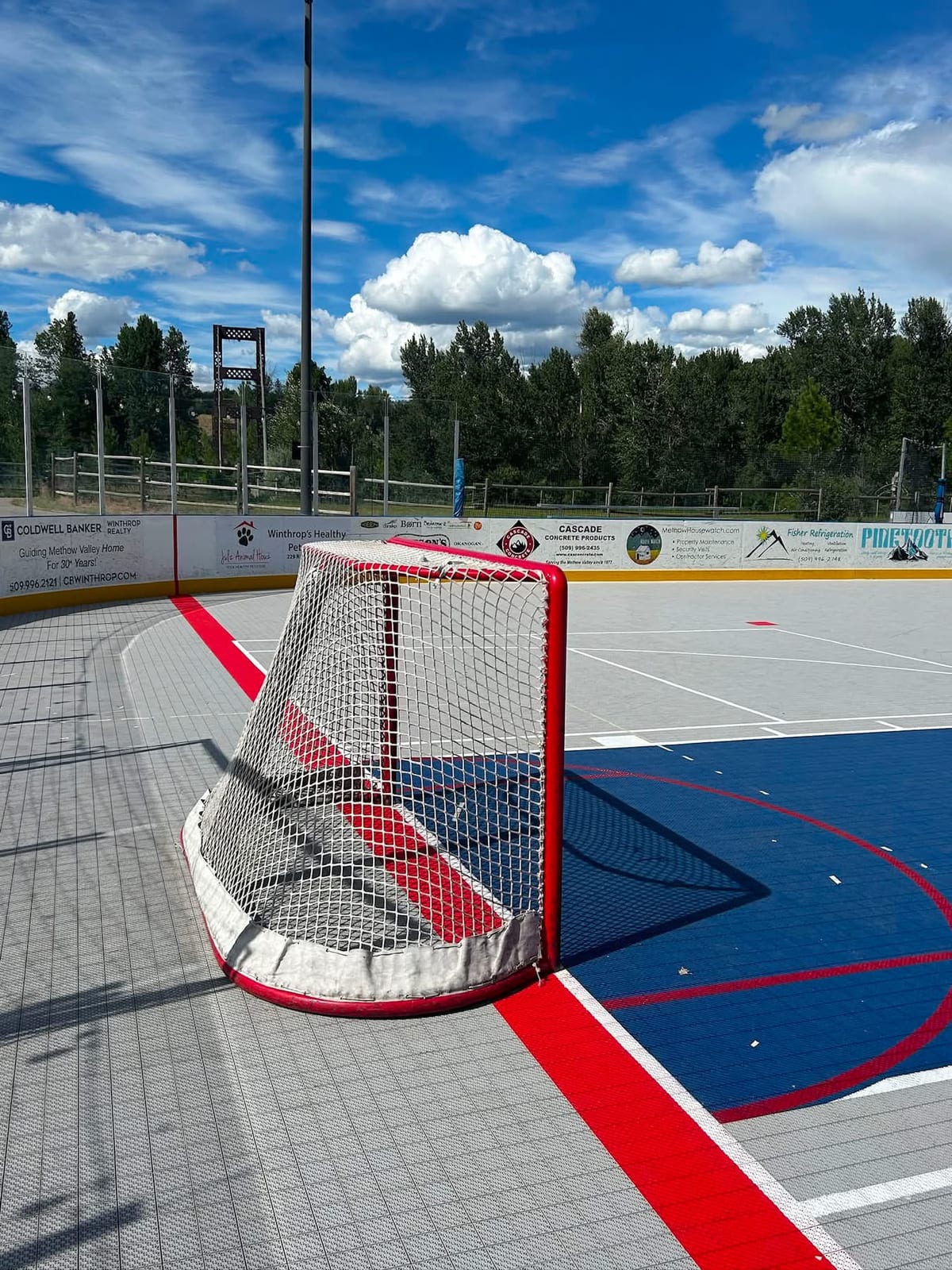 A dedicated outdoor ball hockey rink with a net and open sky